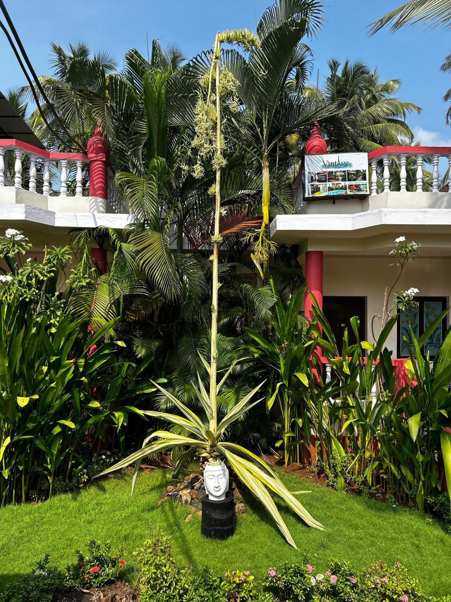 Vintage Beach Resort Agonda Bagian luar foto